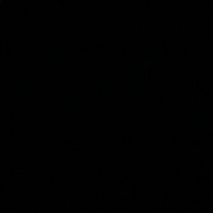 Meet your Posher, Rick